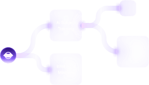 roadmap